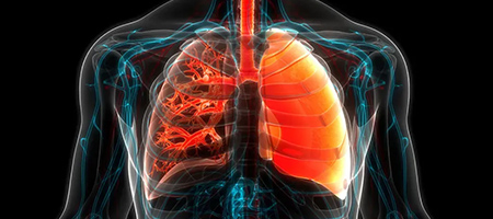 Thoracic Cancer Timeline Image
